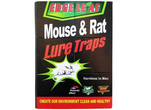 چسب موش مسترکت