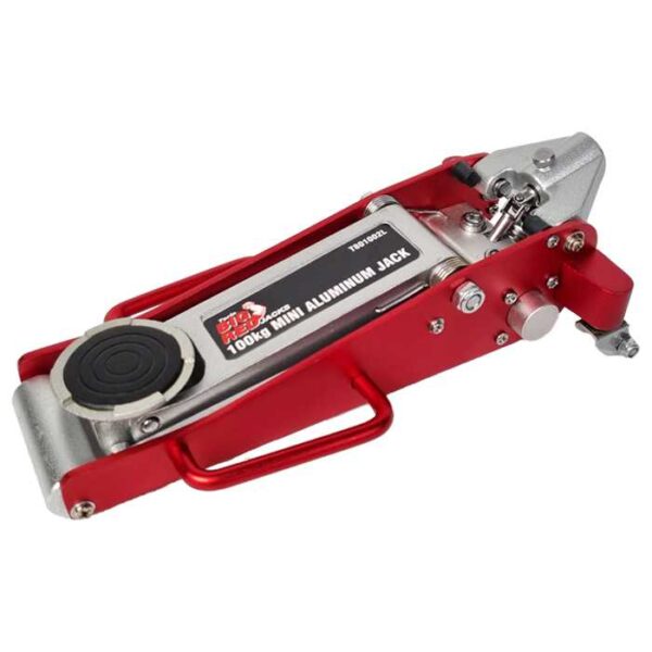 جک سوسماری مینی بیگ رد مدل T801002L - Image 4