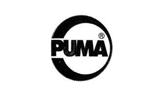 kifabzar puma brand